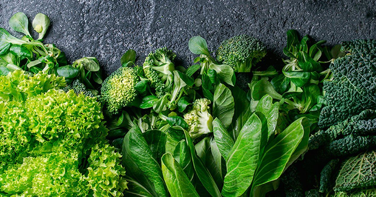 Chorophyll_blog2 Chorophyll_blog2